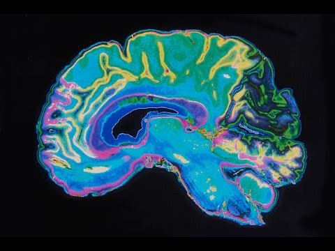 ENTER DEEP FOCUS • Pure Gamma Binaural Beats (No Music) 1 Hour