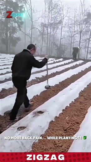 Genius Farming Tools for Fast Plastic Mulch Perforation