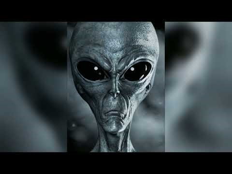Das Blut der Grey Aliens