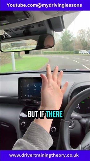 driving lessons duck sign