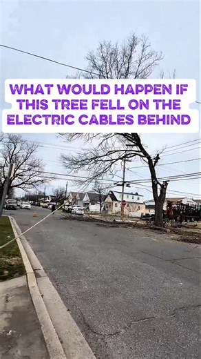 cutting trees near high-voltage cables