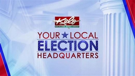 At-large council member “A” candidate: Vince Danh