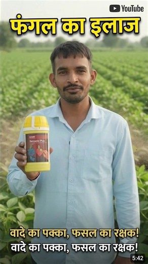 BASF Sercadis Plus Fungicide | The Ultimate Solution for Fungal Diseases 🌾#SercadisPlus #BASFFung...