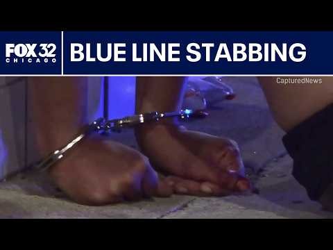 Suspect in custody after stabbing at Blue Line station