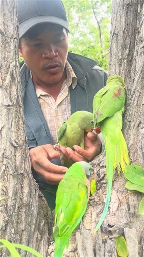 Wow, big and beautiful parrot.