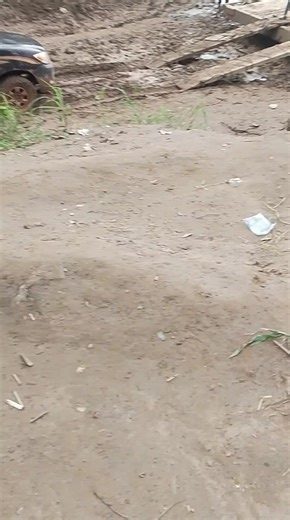 Videos de eisen chayaba (@eisenchayabakunih) con “sonido original - ROLANDO YACC | CLIPS”