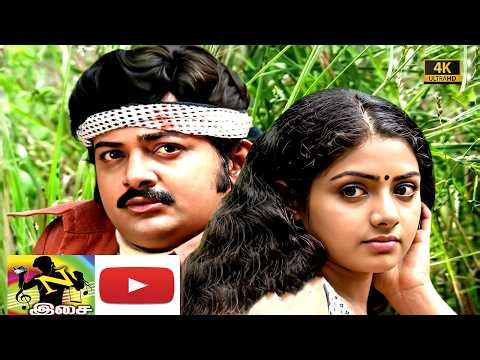 நிம்மதி இல்லாத நேரத்தில் கேட்கும் #இளையராஜா #காதல் பாடல்கள்!🎶 #Ilayaraja #popular #melody #songs #4k