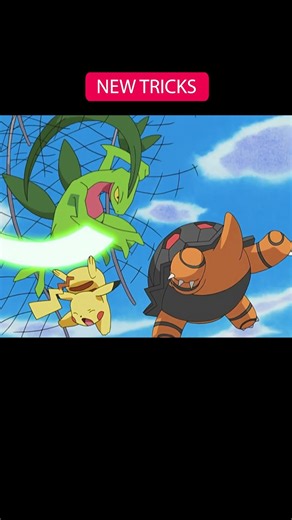 Hello, Team Rocket, meet Grovyle!