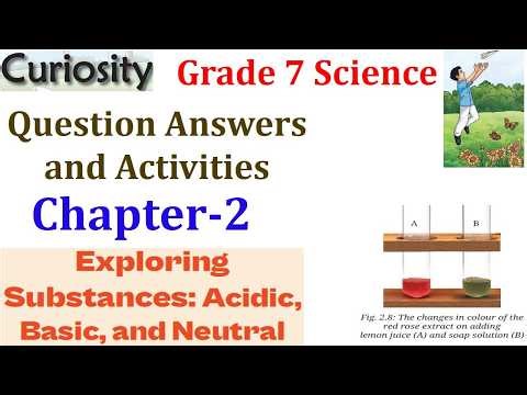 Class 7 Science Curiosity Chapter 2 Exploring Substances Acidic Basic and neutral