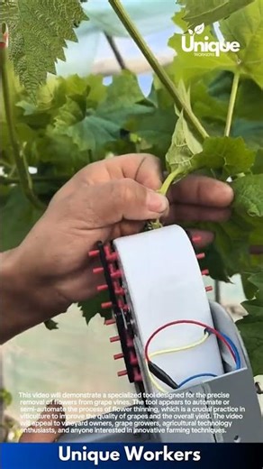 Grape Flower Removal Tool: Precision Agriculture
