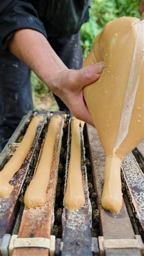 Adding Supplements for Honey Bees