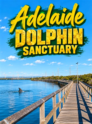 📍 Adelaide Dolphin Sanctuary. With an hour to spare I tried to find something cool in Radelaide. This was not cool... at all. #Adelaide #Dolphin #dolphinsanctuary #travel #tourism