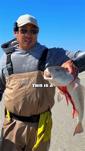 Chinese New Year Catch & Cook! 🎣