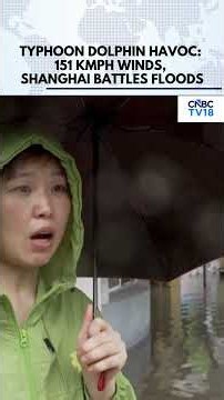 Typhoon Dolphin Batters Shanghai: Severe Flooding, Metro & Ferry Services Hit | China Weather | N18G