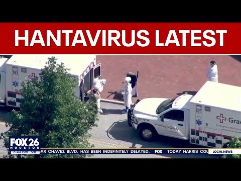 Hantavirus outbreak update: 11 cases globally