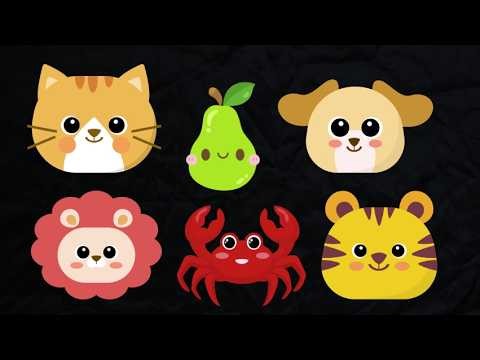 The "Focus" Engine: Advanced Visual Stimuli 🚀👁️ 🍎🎉 | Sensory Happy Kids