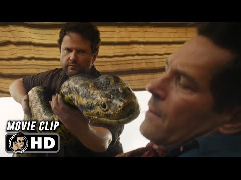 Anaconda Vs Paul Rudd Scene | ANACONDA (2025) Movie CLIP HD