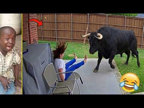 Crazy Funniest Videos Ever In The World! (try not to laugh 92)