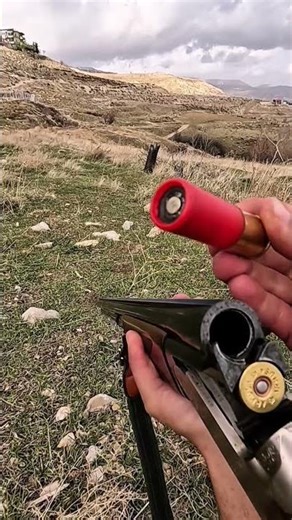 hight explosive slug test#shootingtime #doublebarrelshotgun