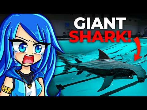 There's a GIANT SHARK in the POOL!