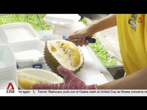 Mao Shan Wang durian prices lowest in 10 years on back of bumper crop in Malaysia
