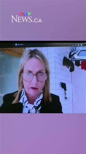 We can see your washing’: N.Z. city councillor attends Zoom meeting in bathroom