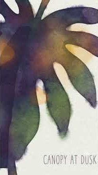 Morning Coffee Journey in Colombia | canopy at dusk #bossanova #coffeeambience #relaxingmusic
