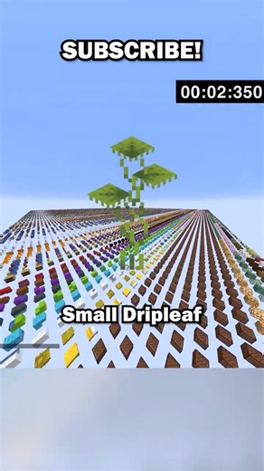 Minecraft Debug World Speedrun 14