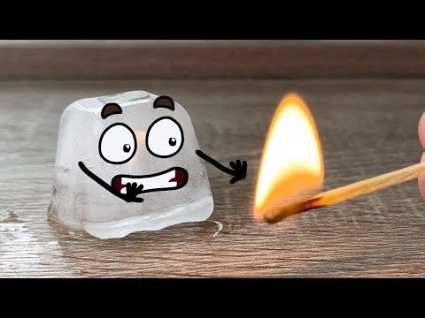 Talkative Food Make Our Mood Better | Ordinary Things And Their Crazy Adventures