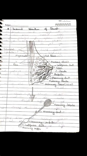 REPRODUCTIVE SYSTEM - Female reproductive system = part 3rd