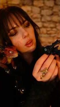Helping You Adopt a Dragon ASMR #asmr 🐉