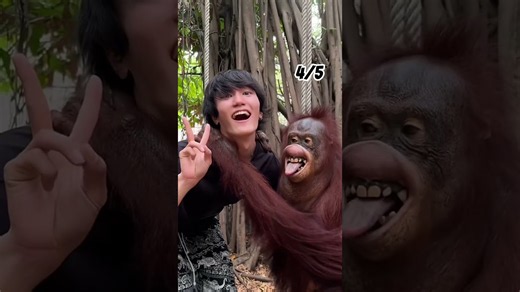 Reaction guy tries viral moments: Animal surprises & Pringles challenge gone wrong!