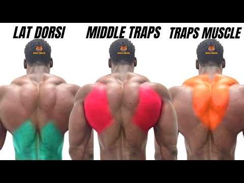 4 BEST BACK WORKOUT THAT YOU NEVER DID AT GYM