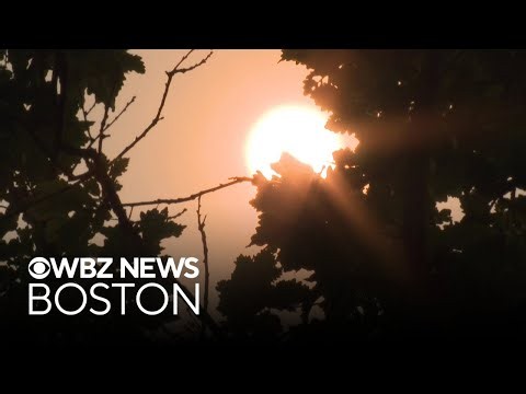 Wildfire smoke from Canada turns sky yellow in Boston, keeps temperatures cooler