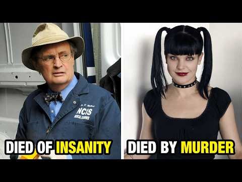 NCIS (2003) Cast Then and Now 2026 | Who Died Unexpectedly?