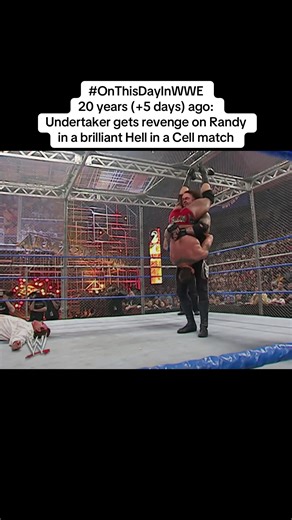 Undertaker vs. Randy Orton: Armageddon 2005 Highlights