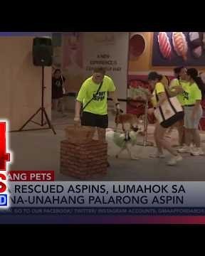 Mga rescued aspin, lumahok sa kauna-unahang Palarong Pang-Aspin | 24 Oras Weekend