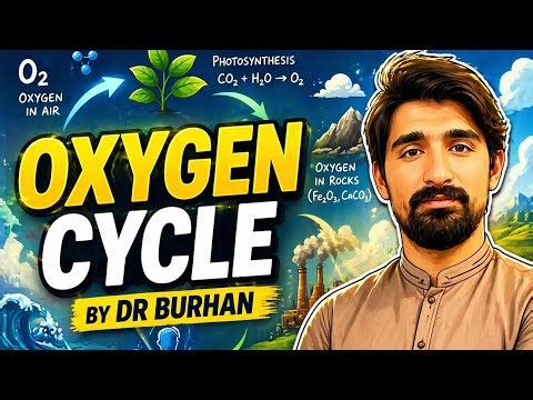 Biogeochemical-Oxygen Cycle easy understanding complete details and important step by Dr Burhan