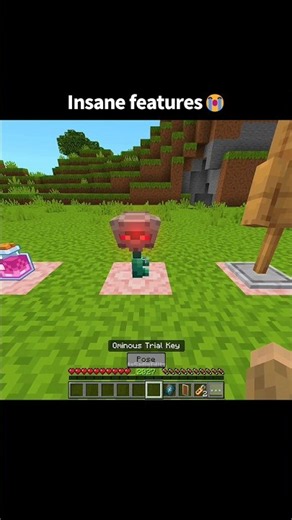 Minecraft: Actions & Stuff 1.12 Cool Features Moments