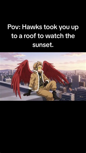 POV: Hawks Takes You to the Roof to Watch the Sunset - BNHA MHA