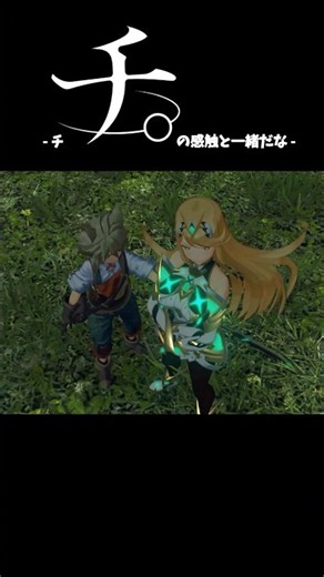これ公式ってマジ？【ホムラ Xenoblade2 (ゼノブレイド2) Nintendo Switch 2 Edition】