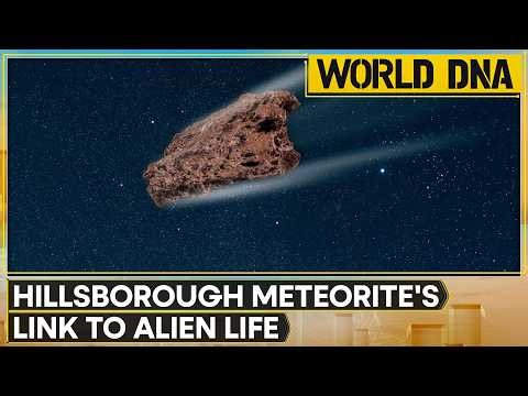 Meteorite Hold Records Of Conditions Existing 4.5 Billion Years Ago | WION World DNA
