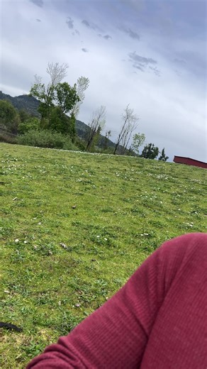 Day Trading Strategies: Forex & Stock Market