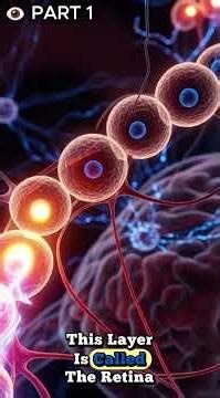 👁️ How the Human Eye Really Works — PART 1