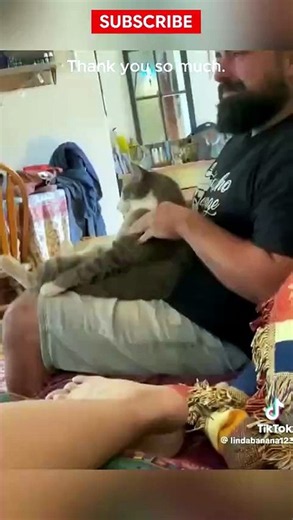 Funny Pets 🔥 Top Amazing Moments 💯Patience turns ordinary effort into lasting results.