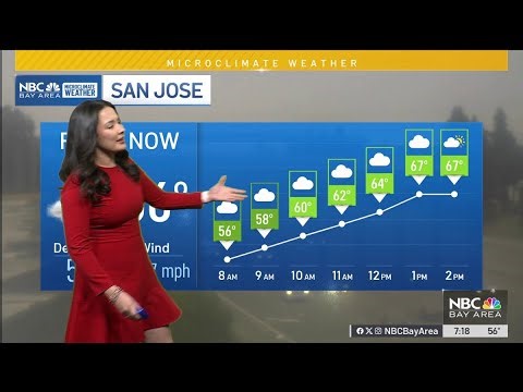 Bay Area Forecast: Cloudy and cooler