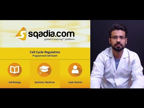 Cell Cycle Regulation | Programmed Cell Death