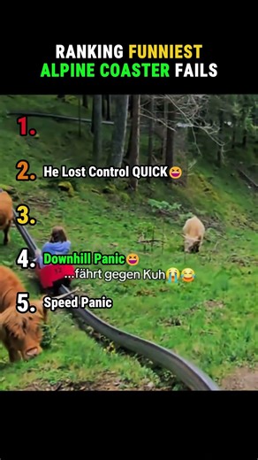 Ranking Funniest Alpine Coaster Fails #alpinecoaster #ranking #shorts
