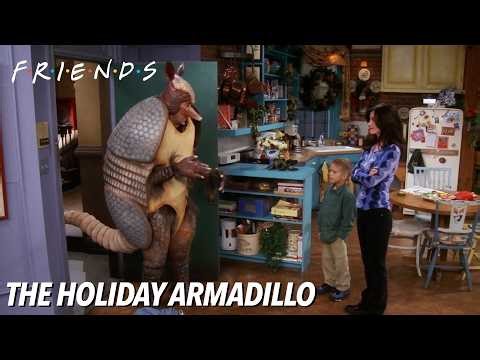 The Holiday Armadillo | FRIENDS