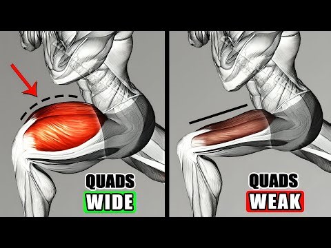 Best Quads Workout for Bigger Legs Fast (Revealed!)